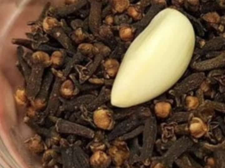 Natural Remedy for Varicose Veins: Cloves and Garlic