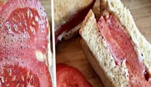 CLASSIC TOMATO SANDWICH