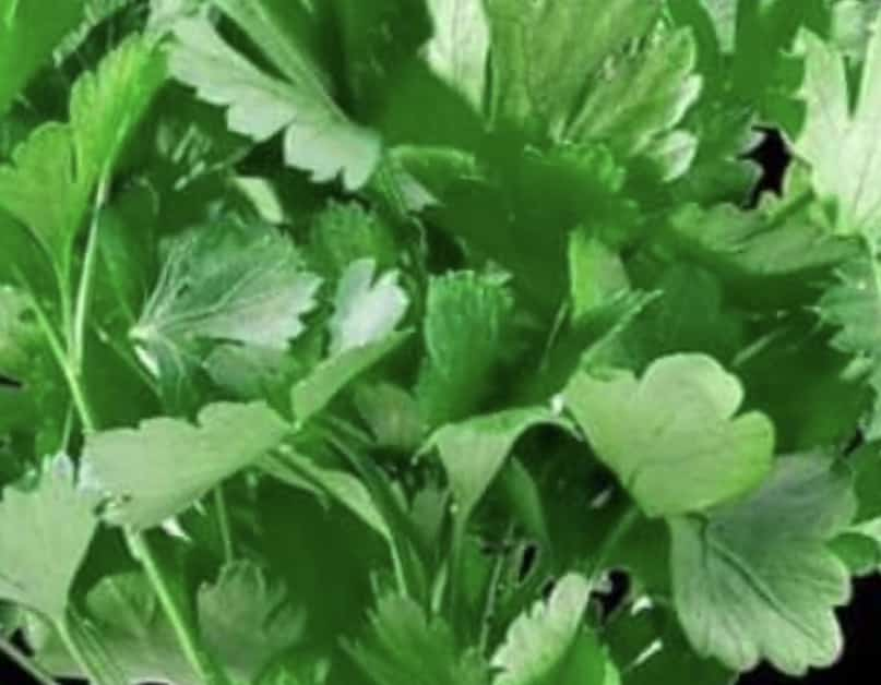 Unbelievable! I Have 100% Restored My Vision! Effective Drink for Vision (Parsley)