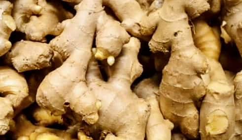 Stop Ignoring This Ginger Secret for Better Health Insights from Dr. Barbara O’Neill