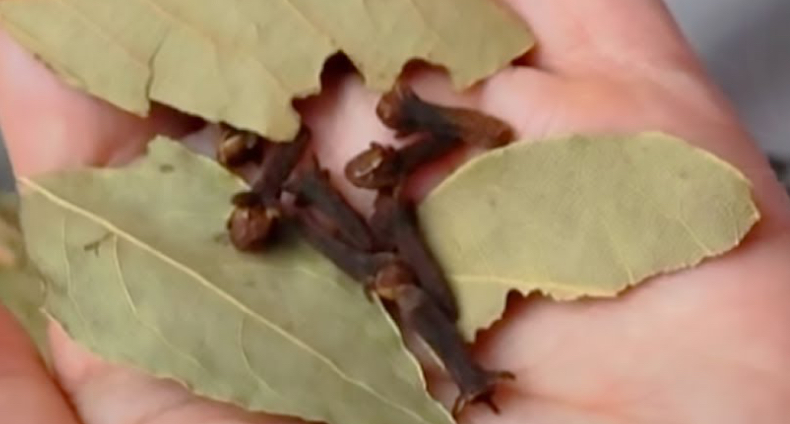 Bay Leaves Mixed With Cloves: A Natural Duo to Boost Immunity and Fight Inflammation