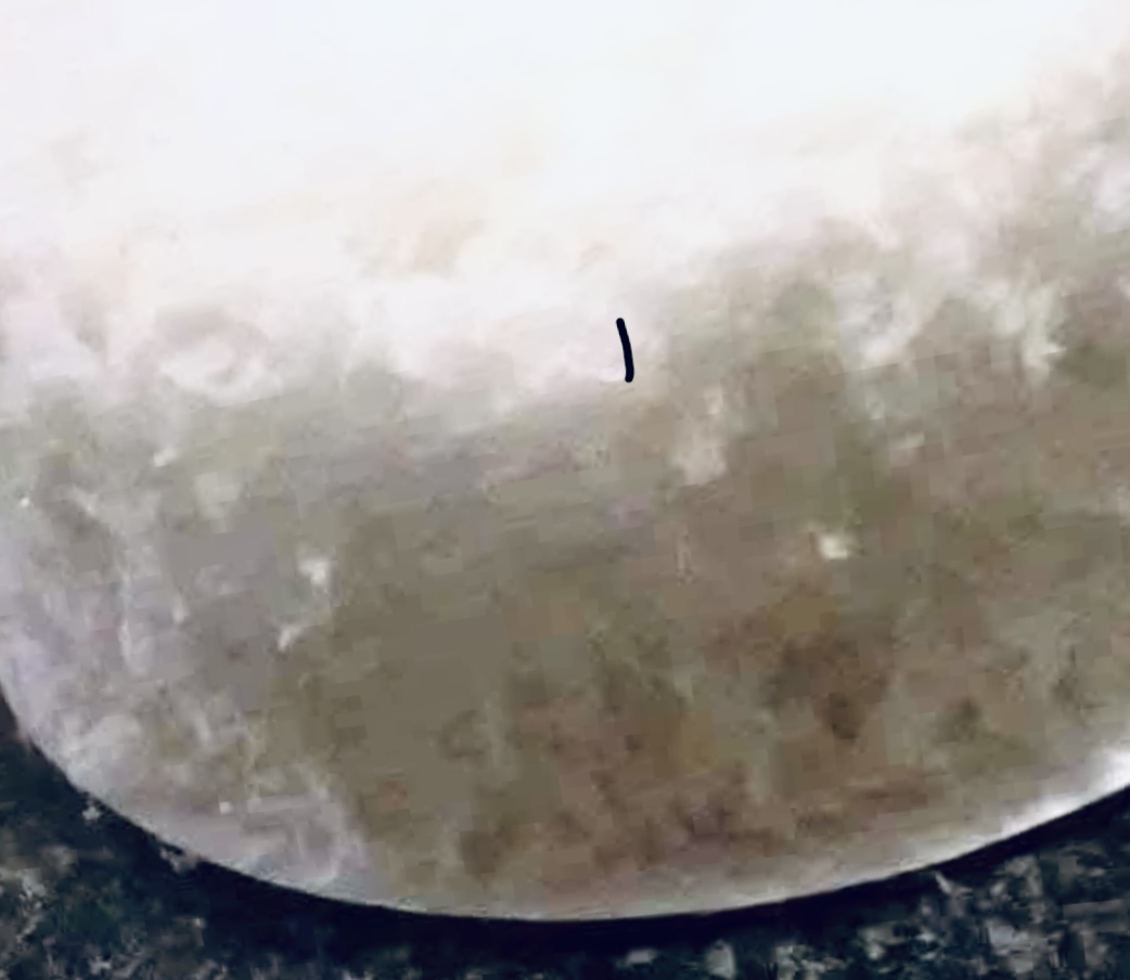 Delicious Coconut Cake Recipe