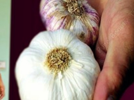 Garlic and Ginger: A Powerful Combination for Boosting Metabolism