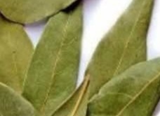 Unlock the Secret of Youth: The Bay Leaf Anti-Aging Mask