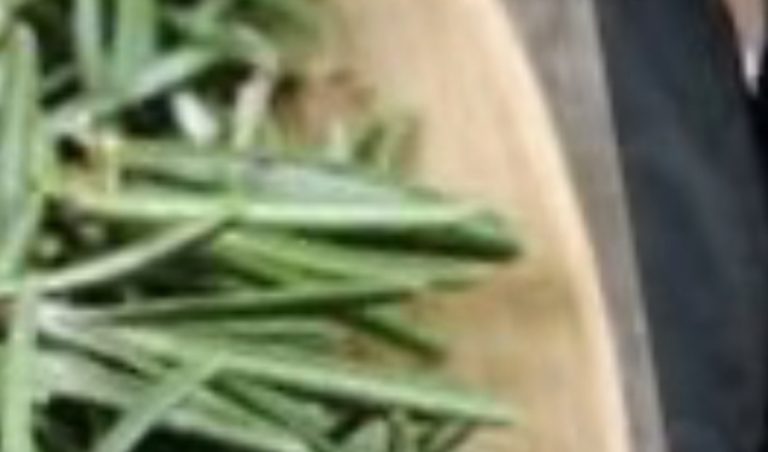 RENEWED KNEE! The Tea That Soothes Knee and Joint Discomfort